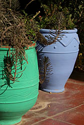 Majorelle Gardens, Marrakech, Morocco