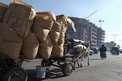 Laden Horse Cart, Marrakech, Morocco