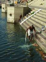 Dhobis - washermen - in the Ganges, Varanasi