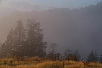 Mist around sunrise Poon Hill