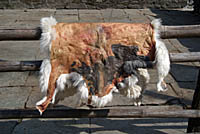 Goatskin at Birethanti