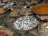 Dried fish for sale in the market, Maymyo, Myanmar