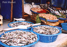 Fish Market, Istanbul